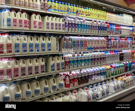 Dairy Products Shop